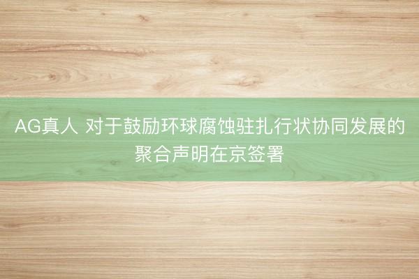 AG真人 对于鼓励环球腐蚀驻扎行状协同发展的聚合声明在京签署