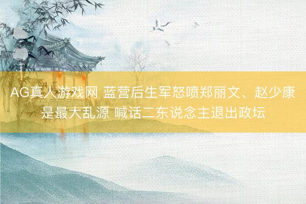 AG真人游戏网 蓝营后生军怒喷郑丽文、赵少康是最大乱源 喊话二东说念主退出政坛