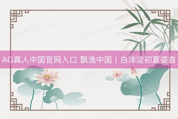 AG真人中国官网入口 飘逸中国丨白洋淀初夏姿首