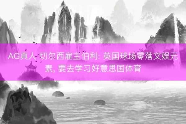 AG真人 切尔西雇主伯利: 英国球场零落文娱元素， 要去学习好意思国体育