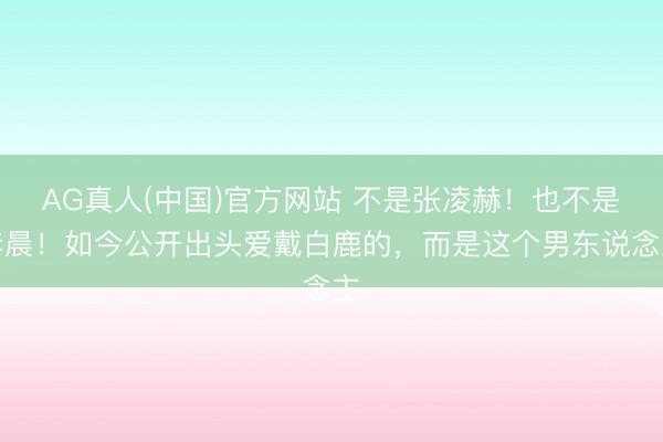 AG真人(中国)官方网站 不是张凌赫！也不是李晨！如今公开出头爱戴白鹿的，而是这个男东说念主