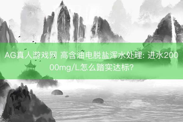 AG真人游戏网 高含油电脱盐浑水处理: 进水20000mg/L怎么踏实达标?