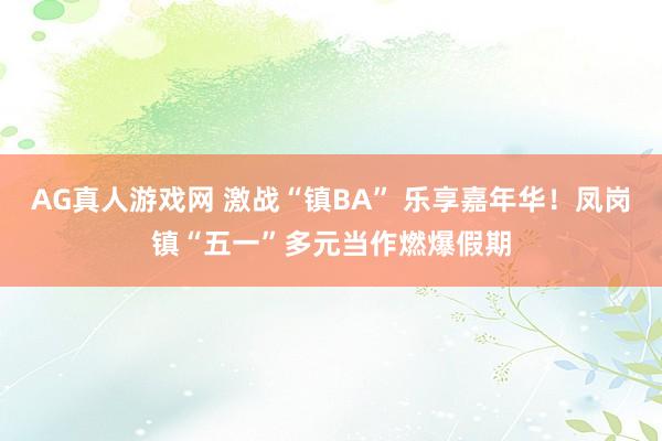 AG真人游戏网 激战“镇BA” 乐享嘉年华!凤岗镇“五一”多元当作燃爆假期