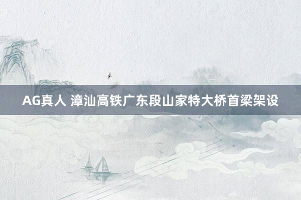 AG真人 漳汕高铁广东段山家特大桥首梁架设